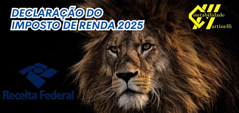 DECLARAÇÃO DO IMPOSTO DE RENDA 2025